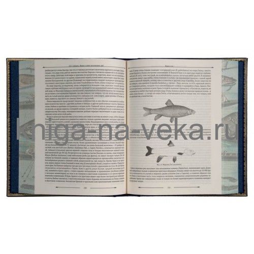 Сабанеев Л.П. "Книга рыбака" с бронзовой накладкой